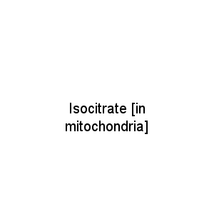Isocitrate [in mitochondria]